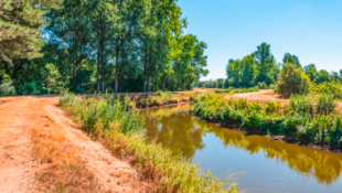 De lokale binding versterken - Regio - Boechout - Hove - Lier - Lint - Nijlen