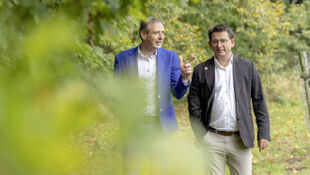 Het belangrijkste kruispunt van Vlaanderen - Regio - Burgemeesters - Heusden-Zolder - Lummen