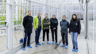 Circulaire symbiose tussen tomaten- en visteler - Sector - Innovation playground