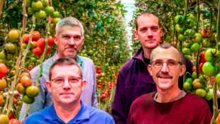 Vier generaties specialisten in tomaten - Familiebedrijven - Vlaemynck