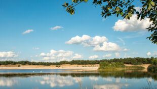 Economische pool van Noord-Limburg - Regio Lommel