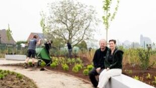 Niet-alledaagse bedrijfstuinen, van ontwerp tot onderhoud - Bedrijfsprofiel - Kreatief groen