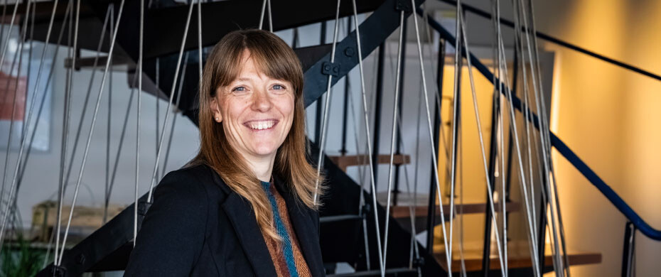 Staalharde garantie voor innovatie