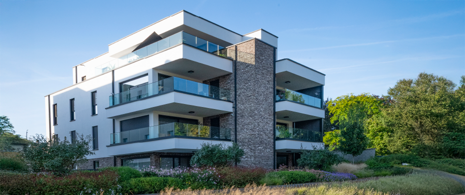 Woonconcept van formaat strijkt neer in Mol