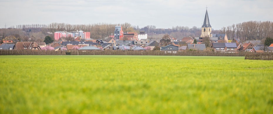 Sterck_L_20_Regio_Alken