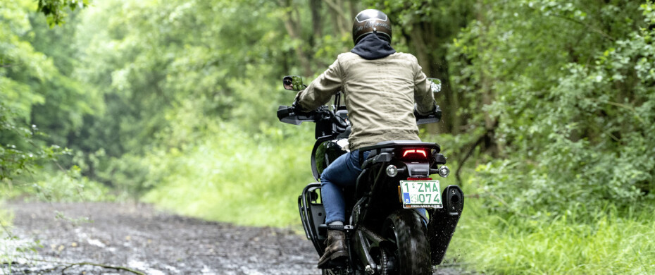 Harley_Joris_Mees Harley_Joris_Mees