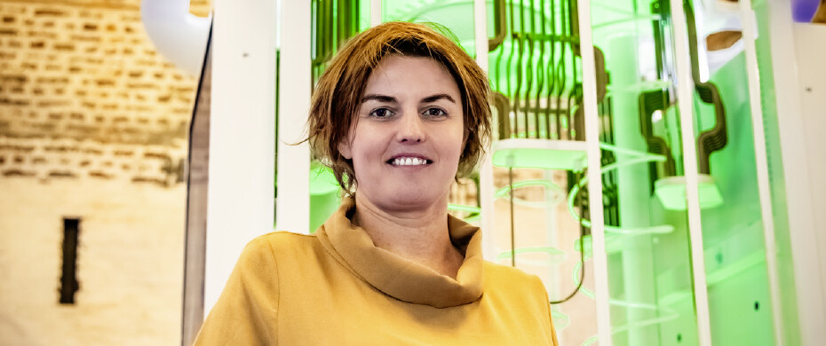 griet-verbeke-the-flax griet-verbeke-the-flax